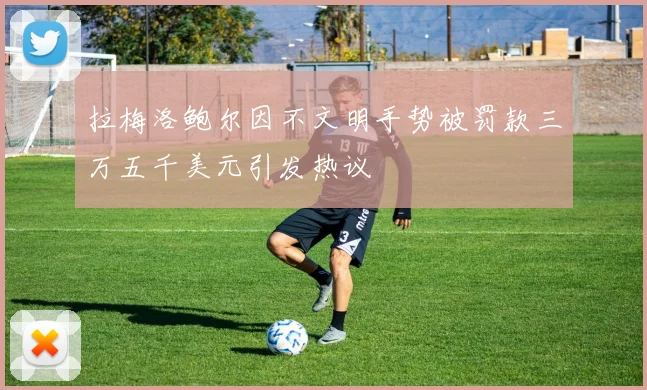 拉梅洛鲍尔因不文明手势被罚款三万五千美元引发热议