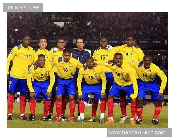 巴西球队展现统治力连续七年夺得南美解放者杯冠军荣耀